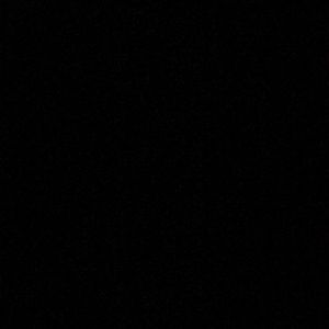 Meet your Posher, Charlotte